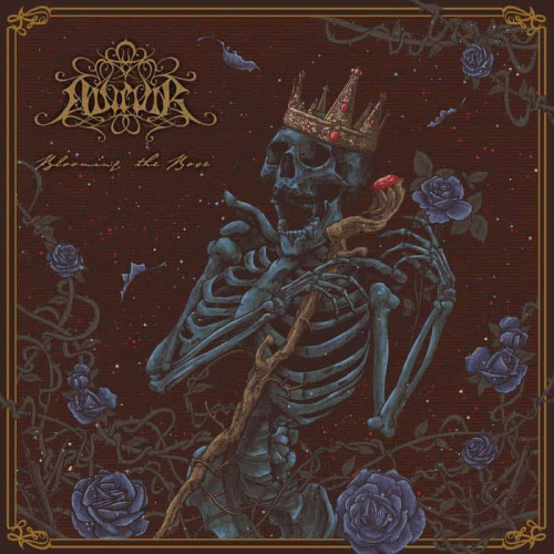 Duirvir : Blooming the Rose